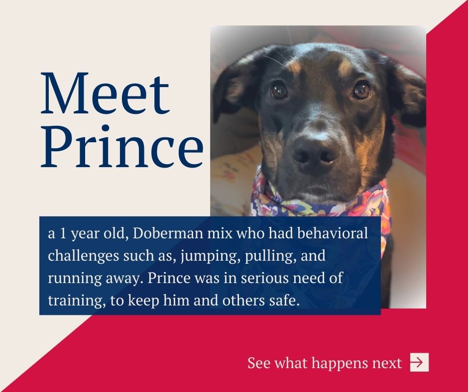 Prince
